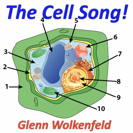 The Cell Song! | Boomplay Music