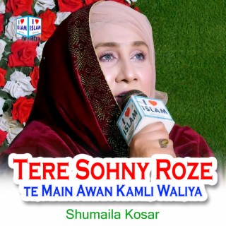 Tere Sohny Roze te Main Awan Kamli Waliya