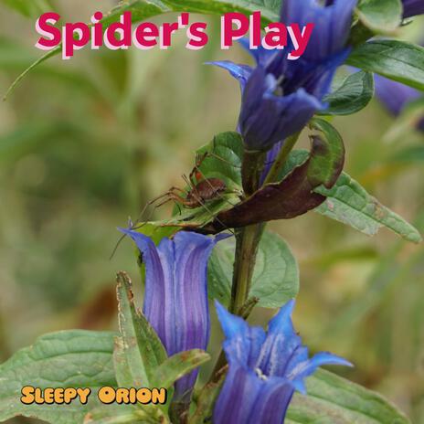 Spider's Play | Boomplay Music