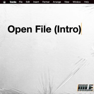 Open File (Intro)