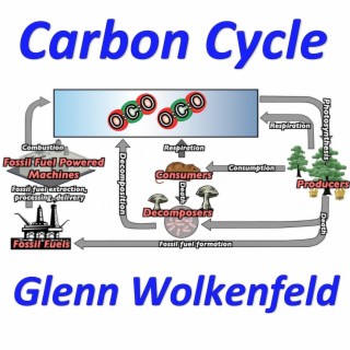 Carbon Cycle