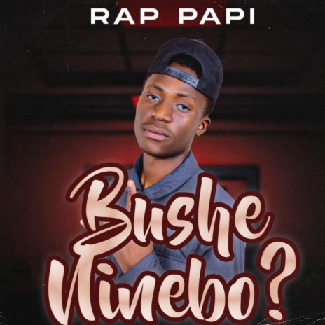 Bushe Ninebo? | Boomplay Music