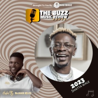 SHATA WALE - 2023 (The Buzz Music Review)