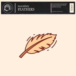 feathers