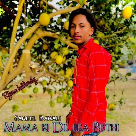 Mama ki Dil lea Bethi | Boomplay Music
