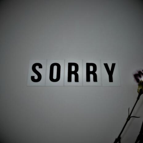 Im Sorry That Your In Tears | Boomplay Music