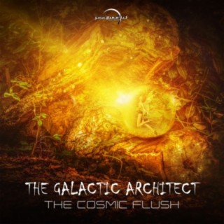 The Galactic Architect