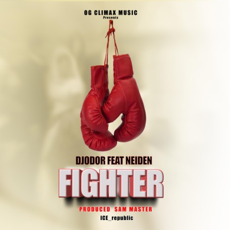 Fighter (feat. Djodor) | Boomplay Music