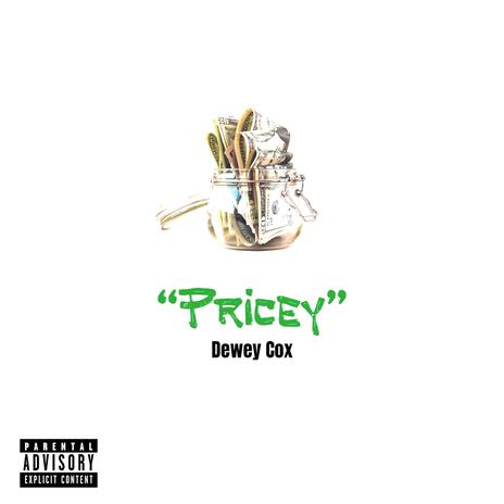 Pricey | Boomplay Music