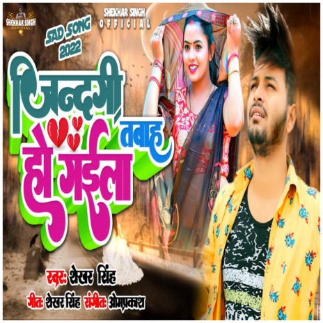 Jindagi Tabah Ho Gail | Boomplay Music