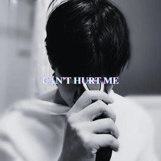 CAN'T HURT ME lyrics | Boomplay Music