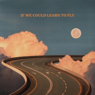 If We Could Learn to Fly