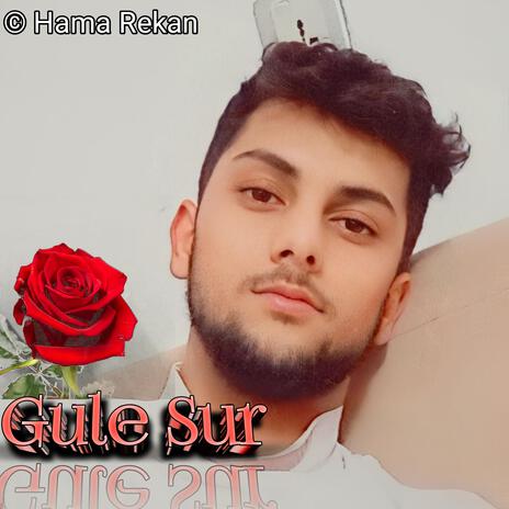 Gule Sur | Boomplay Music