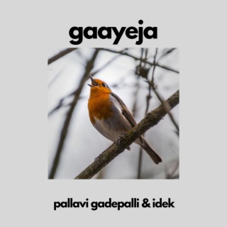 Gaayeja