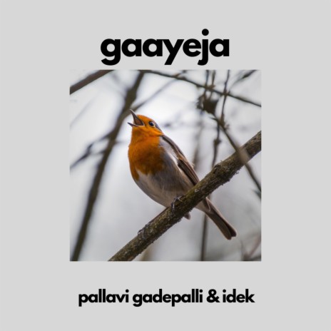 Gaayeja ft. Idek | Boomplay Music