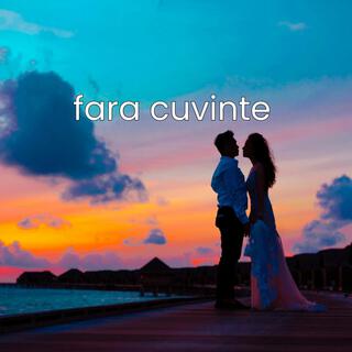 Fara cuvinte