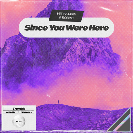 Since You Were Here ft. ROBINS | Boomplay Music