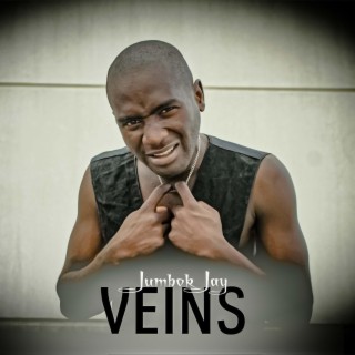 VEINS