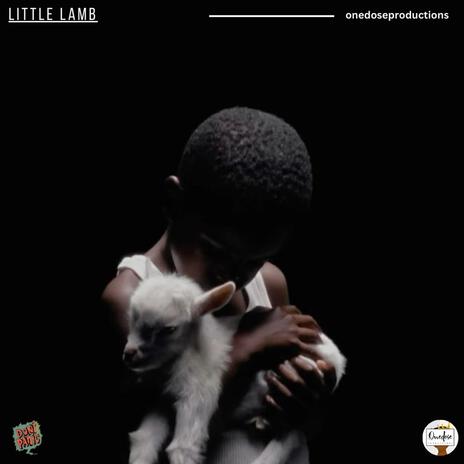 Little Lamb | Boomplay Music