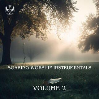 Soaking Worship Instrumentals: Volume 2