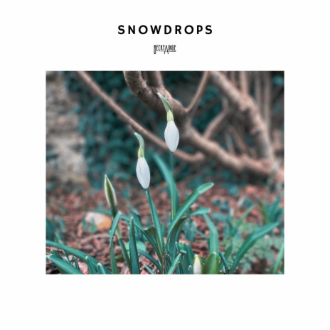 Snowdrops | Boomplay Music