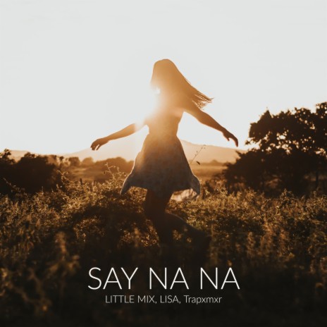 Say Na Na ft. LISA & Trapxmxr