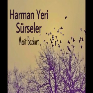 Harman Yeri Sürseler