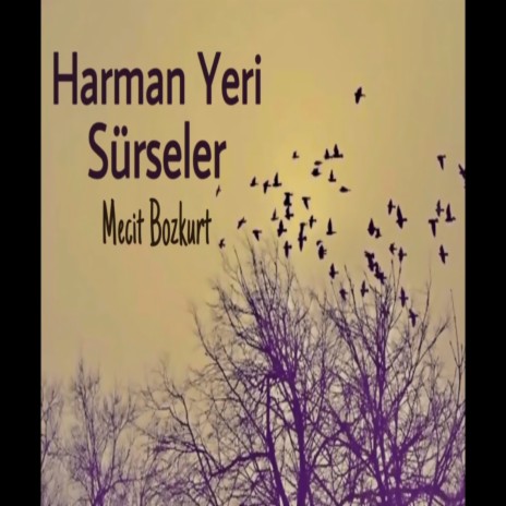 Harman Yeri Sürseler | Boomplay Music