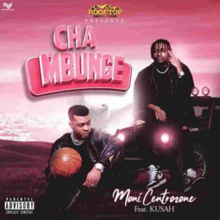 Cha Mbunge ft. Kusah lyrics | Boomplay Music