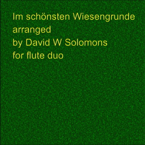 Im schönsten Wiesengrunde for 2 flutes | Boomplay Music