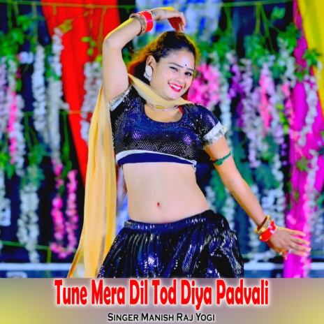 Tune Mera Dil Tod Diya Padvali | Boomplay Music