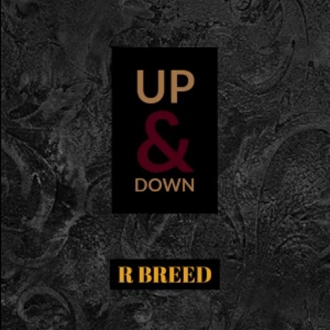 R Breed - Up & Down | Boomplay Music