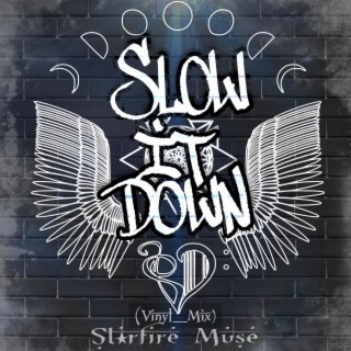 SLOW IT DOWN (Vinyl_Mix) lyrics | Boomplay Music
