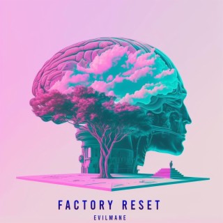 FACTORY RESET