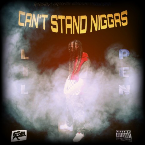 CAN'T STAND NIGGAS | Boomplay Music