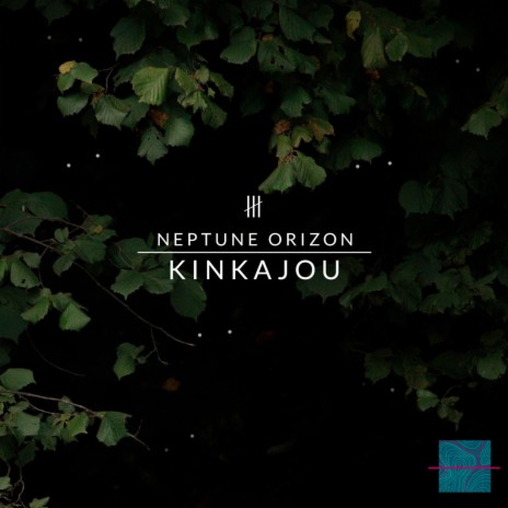 Kinkajou | Boomplay Music