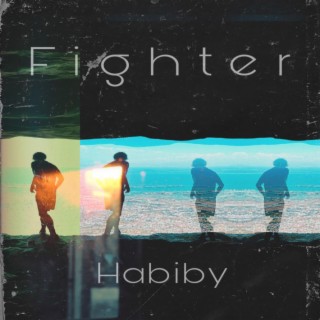 Fighter lyrics | Boomplay Music