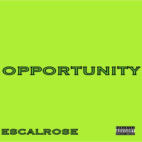 Opportunity