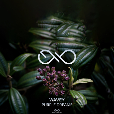 Purple Dreams | Boomplay Music