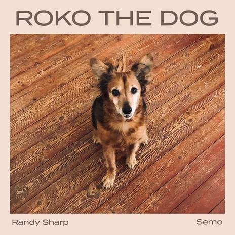 Roko the Dog ft. Semo | Boomplay Music