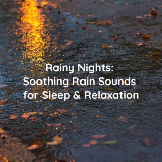 Rainy Nights: Soothing Rain Sounds for Sleep & Relaxation