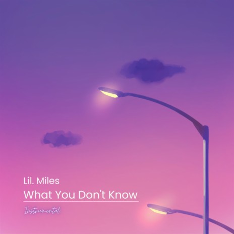 What You Don't Know (Instrumental Version) | Boomplay Music