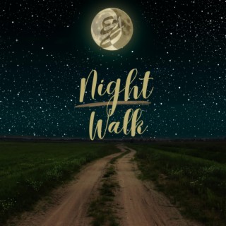 Night Walk