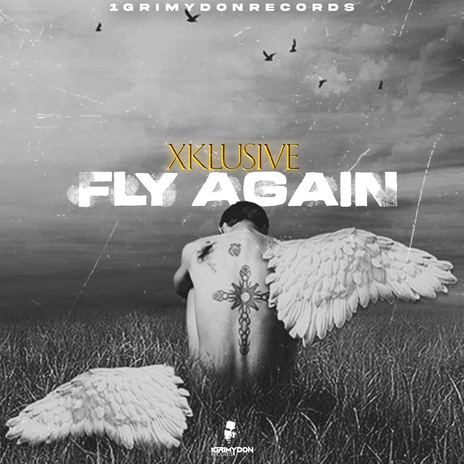 Fly Again | Boomplay Music