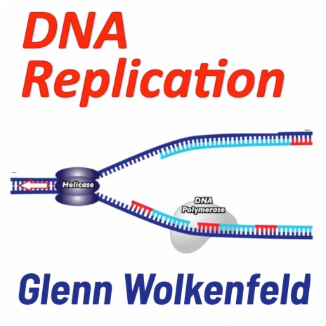 DNA Replication | Boomplay Music