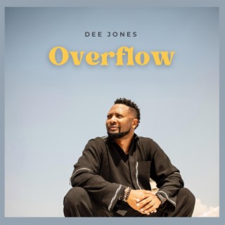 OverFlow lyrics | Boomplay Music