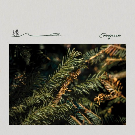 Evergreen | Boomplay Music