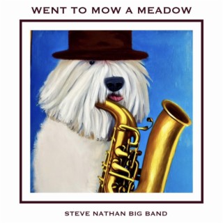 Steve Nathan Big Band
