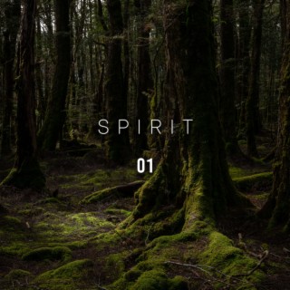 Spirit 01