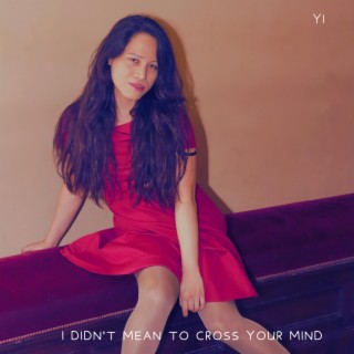 I Didn't Mean to Cross Your Mind lyrics | Boomplay Music